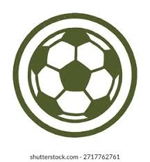 球迷：今天这队是真狠